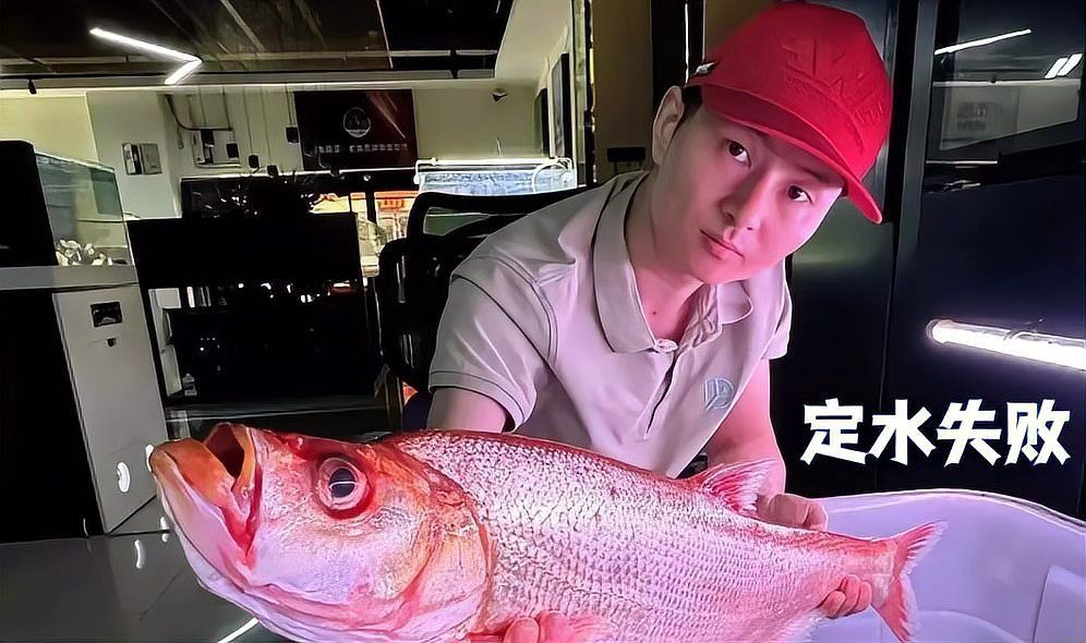 金龍魚翹嘴是為什么呢圖片大全