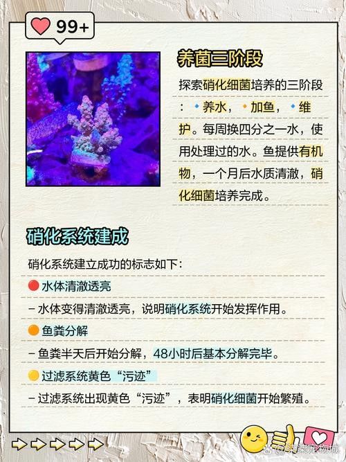 龍魚身上有白膜怎么辦啊圖片 龍魚身上有白膜怎么辦啊圖片 龍魚百科 第25張