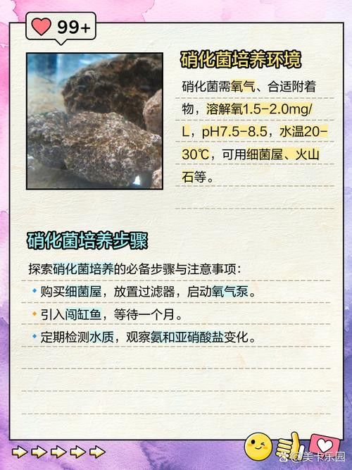 龍魚身上有白膜怎么辦啊圖片 龍魚身上有白膜怎么辦啊圖片 龍魚百科 第28張