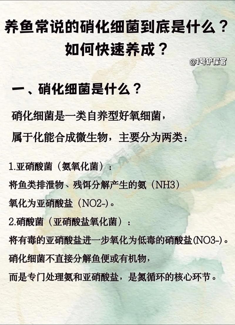 龍魚身上有白膜怎么辦啊圖片 龍魚身上有白膜怎么辦啊圖片 龍魚百科 第39張