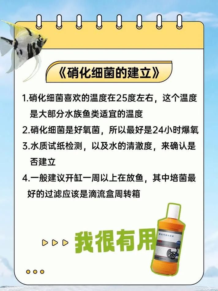龍魚身上有白膜怎么辦啊圖片 龍魚身上有白膜怎么辦啊圖片 龍魚百科 第30張