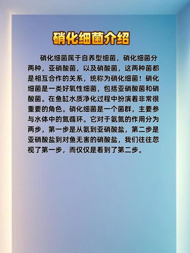 龍魚身上有白膜怎么辦啊圖片 龍魚身上有白膜怎么辦啊圖片 龍魚百科 第37張