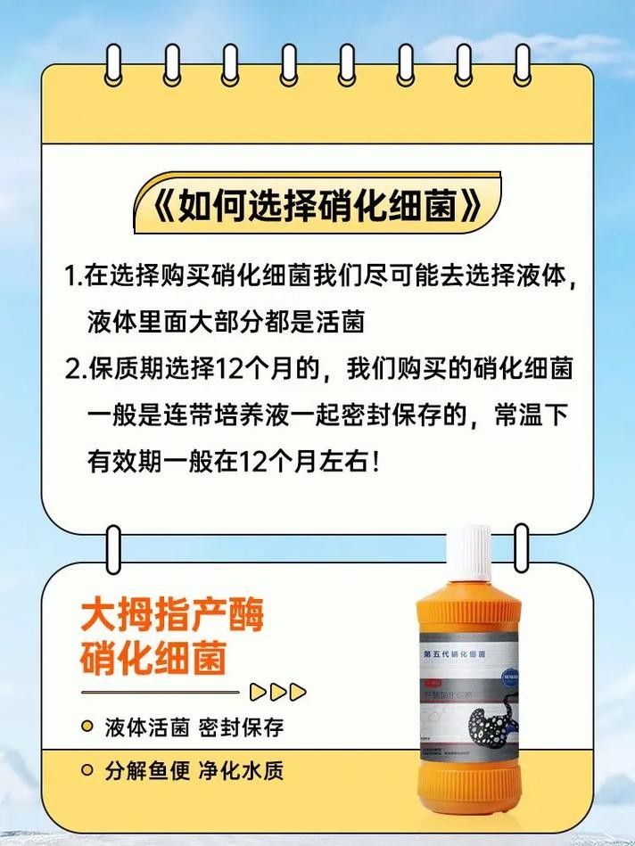 龍魚身上有白膜怎么辦啊圖片 龍魚身上有白膜怎么辦啊圖片 龍魚百科 第34張