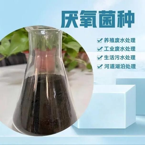 龍魚身上有白膜怎么辦啊圖片 龍魚身上有白膜怎么辦啊圖片 龍魚百科 第45張