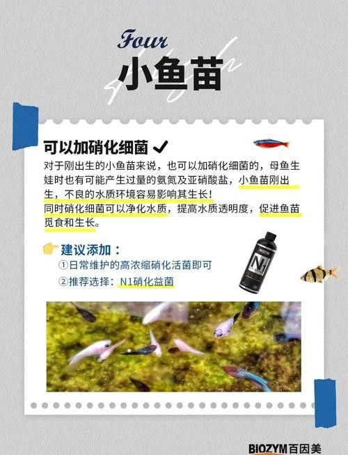 龍魚身上有白膜怎么辦啊圖片 龍魚身上有白膜怎么辦啊圖片 龍魚百科 第42張