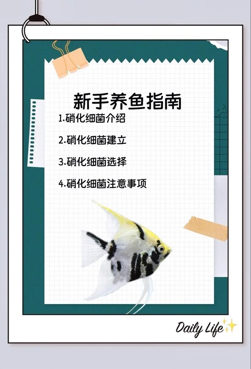龍魚身上有白膜怎么辦啊圖片 龍魚身上有白膜怎么辦啊圖片 龍魚百科 第44張