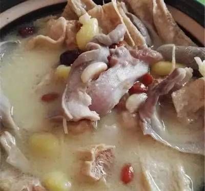 龍魚可以吃雞肉嗎：龍魚可以吃雞肉嗎龍魚可以吃雞肉嗎，龍魚可以吃雞肉嗎