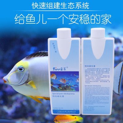 龍魚用品品牌：寶德龍魚、亞克生態、海洋藍寵物用品