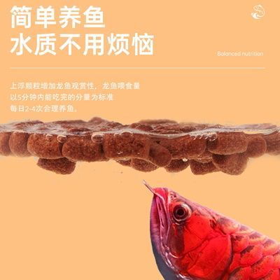 銀龍魚水質的標準（關于銀龍魚水質標準的詳細信息） 銀龍魚水質的標準（關于銀龍魚水質標準的詳細信息） 龍魚百科 第1張