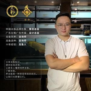 龍魚撞缸的原因及處理方法龍魚撞缸的原因及處理方法：龍魚為什么會撞缸？