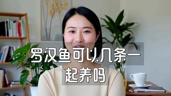 羅漢魚怎么混養不打架