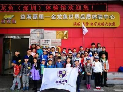 金龍魚介紹作文怎么寫（金龍魚在風水中的寓意，如何鑒別金龍魚的健康狀態？）
