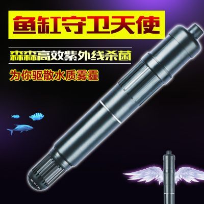 龍魚幾天換水最好：龍魚換水頻率一般多久換一次