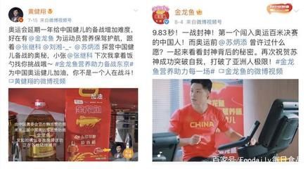 金龍魚營(yíng)銷案例分析（金龍魚品牌發(fā)展歷程）