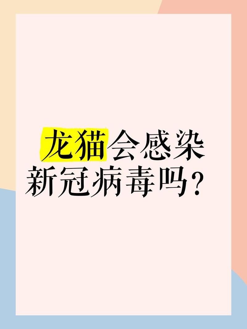 龍貓的細菌會傳染給人類嗎？