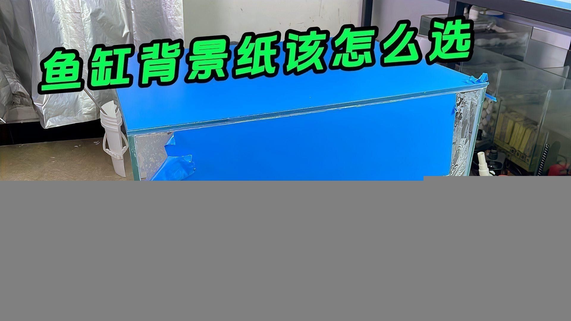 如何選擇合適的魚缸背景？