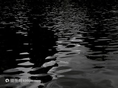 黑水對(duì)龍魚(yú)有什么作用和功效：黑水對(duì)龍魚(yú)有什么作用和功效和功效和功效和功效和功效