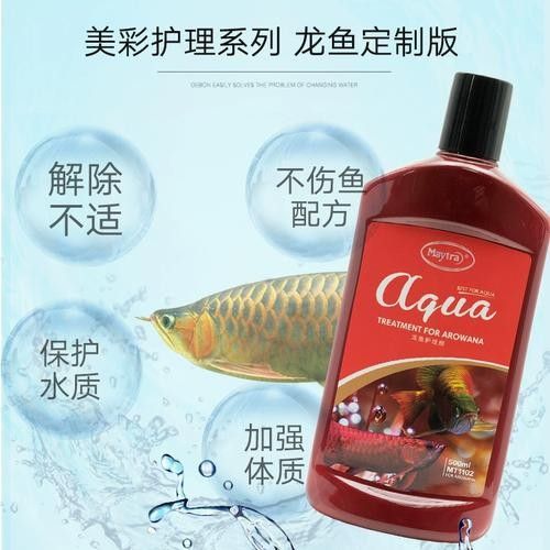 銀龍魚爛鰭怎么辦圖片大全