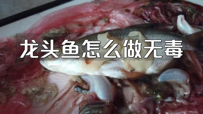 龍頭魚中毒的死亡率有多高？