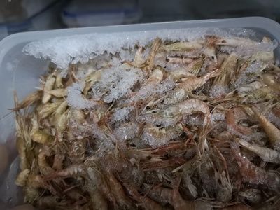 炸水龍魚用什么粉：水龍魚的烹飪方法
