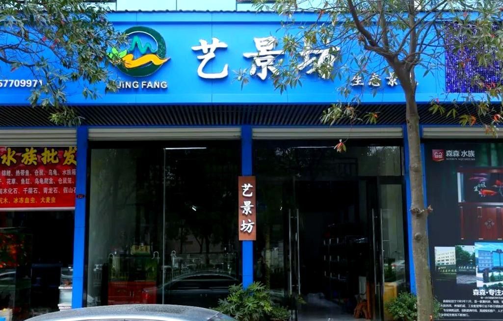溫州龍魚哪里賣的好一點