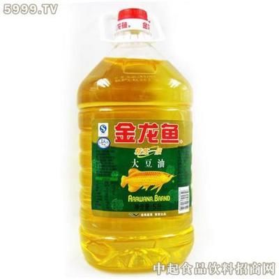 金龍魚吃食視頻：金龍魚吃食優酷《金龍魚吃食視頻》