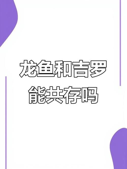 金龍魚和銀龍魚能混養嗎圖片對比