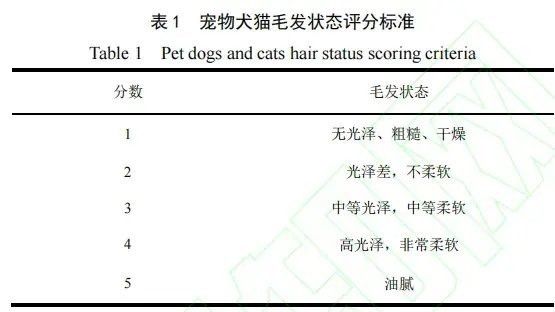 如何判斷寵物貓和龍貓是否適應？