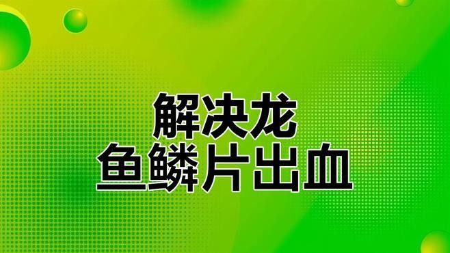 龍魚魚鰭充血后應該如何處理？