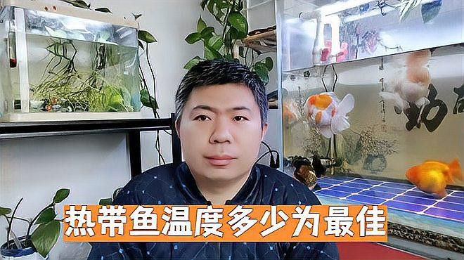 如何調(diào)節(jié)魚缸水溫至最佳范圍？