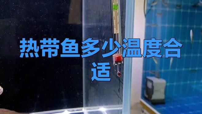 如何調(diào)節(jié)魚缸水溫至最佳范圍？