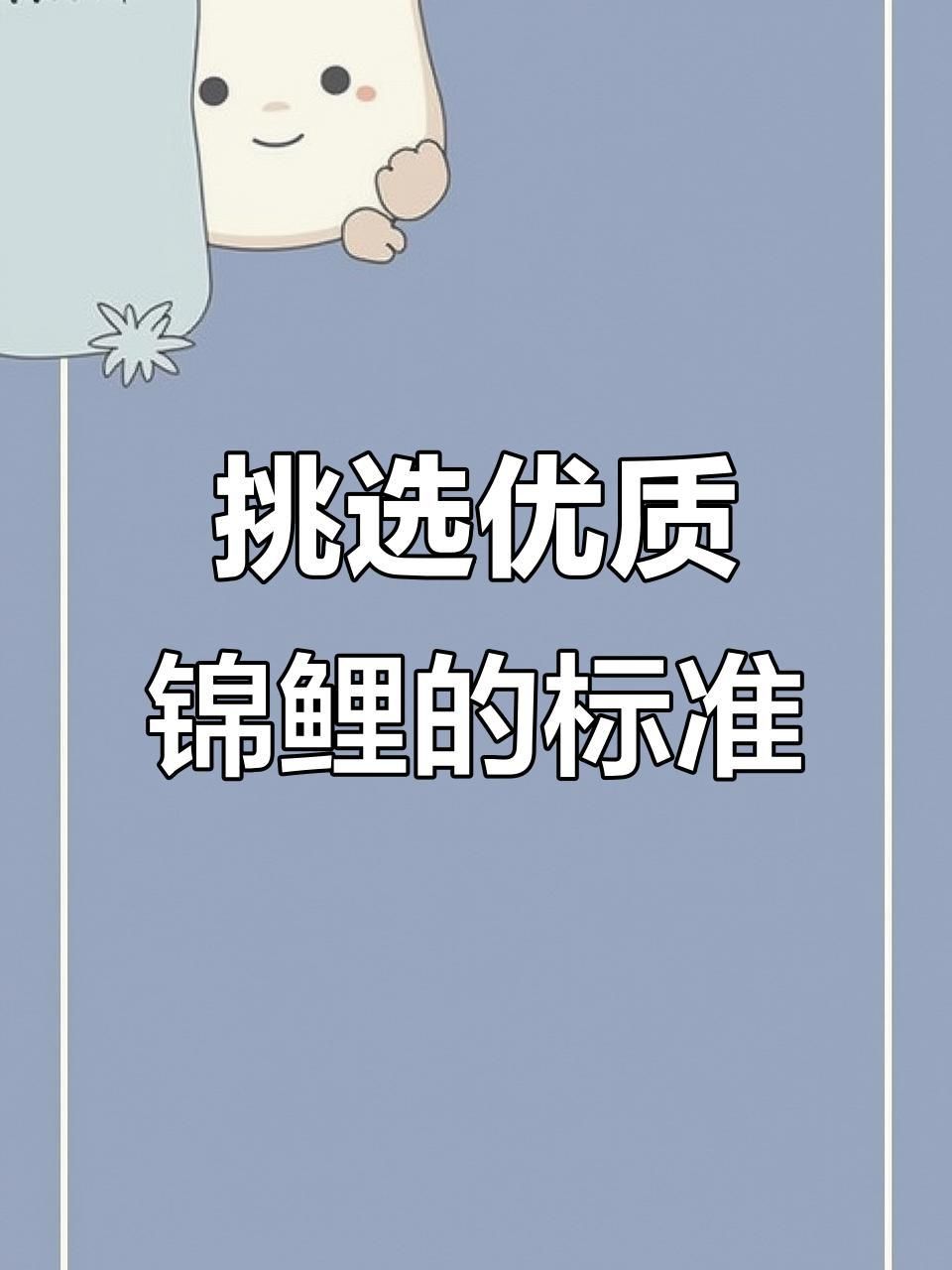 面迫白寫錦鯉的挑選