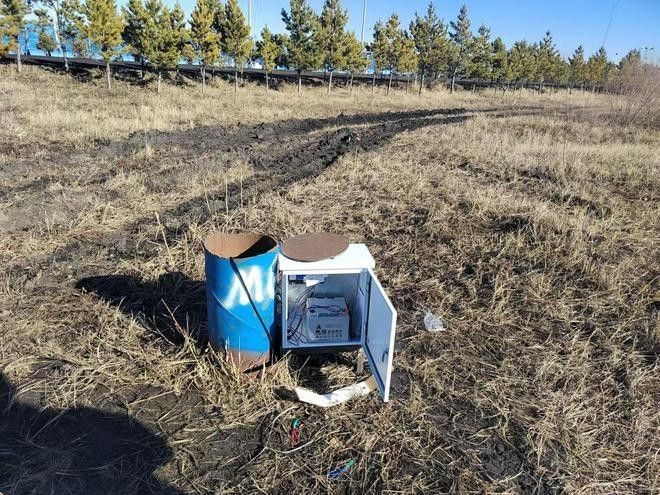 龍魚突然瘋狂撞缸怎么回事