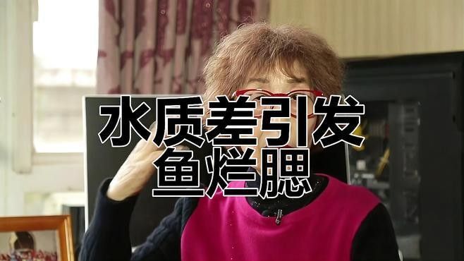 龍魚鰓蓋爛洞如何早期發現？