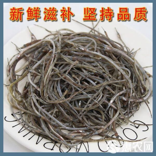 食用龍魚多少錢一斤