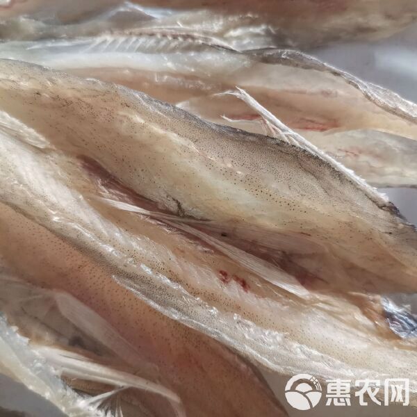 食用龍魚多少錢一斤