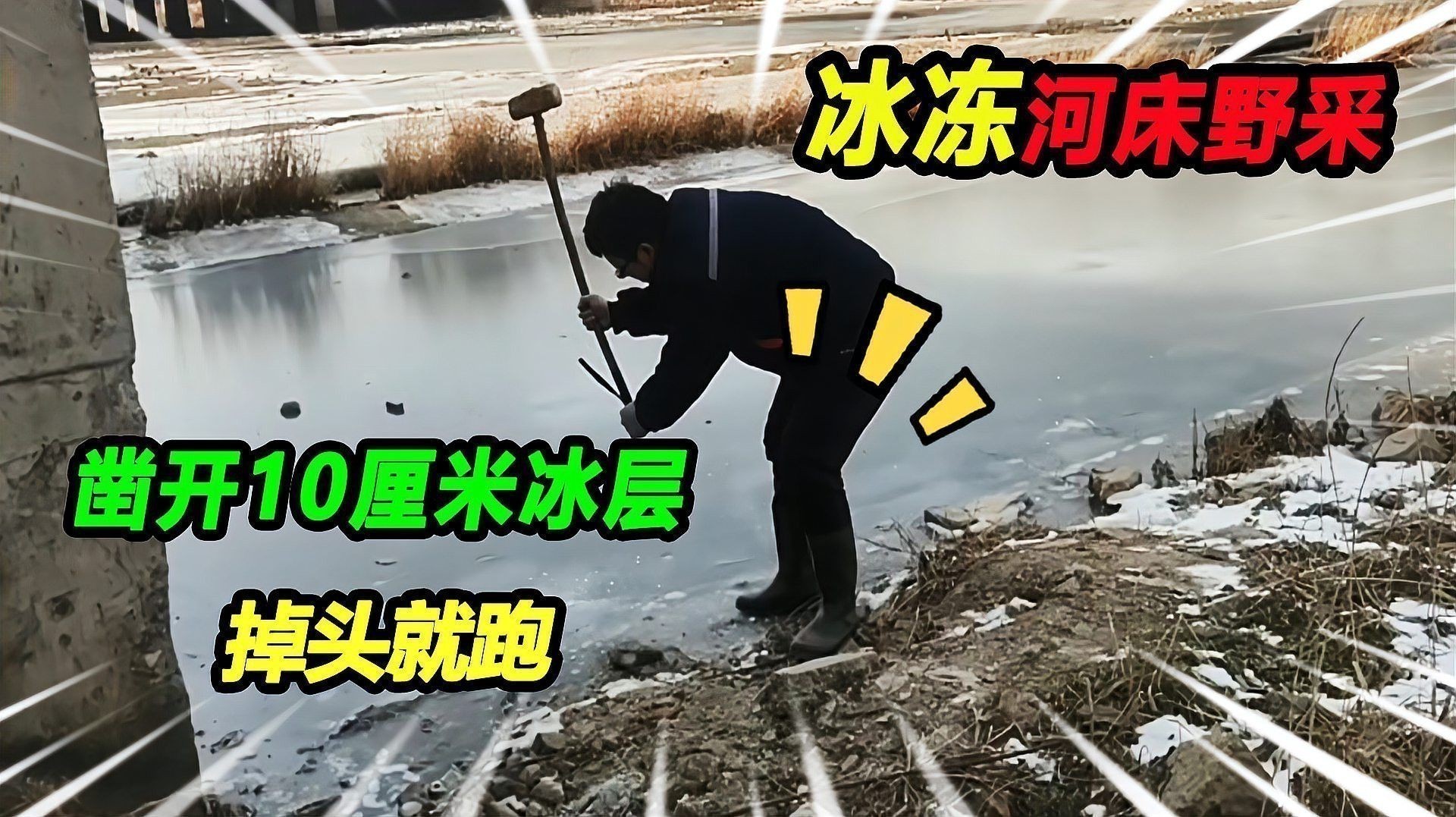 如何判斷小火龍蠑螈是否脫水？