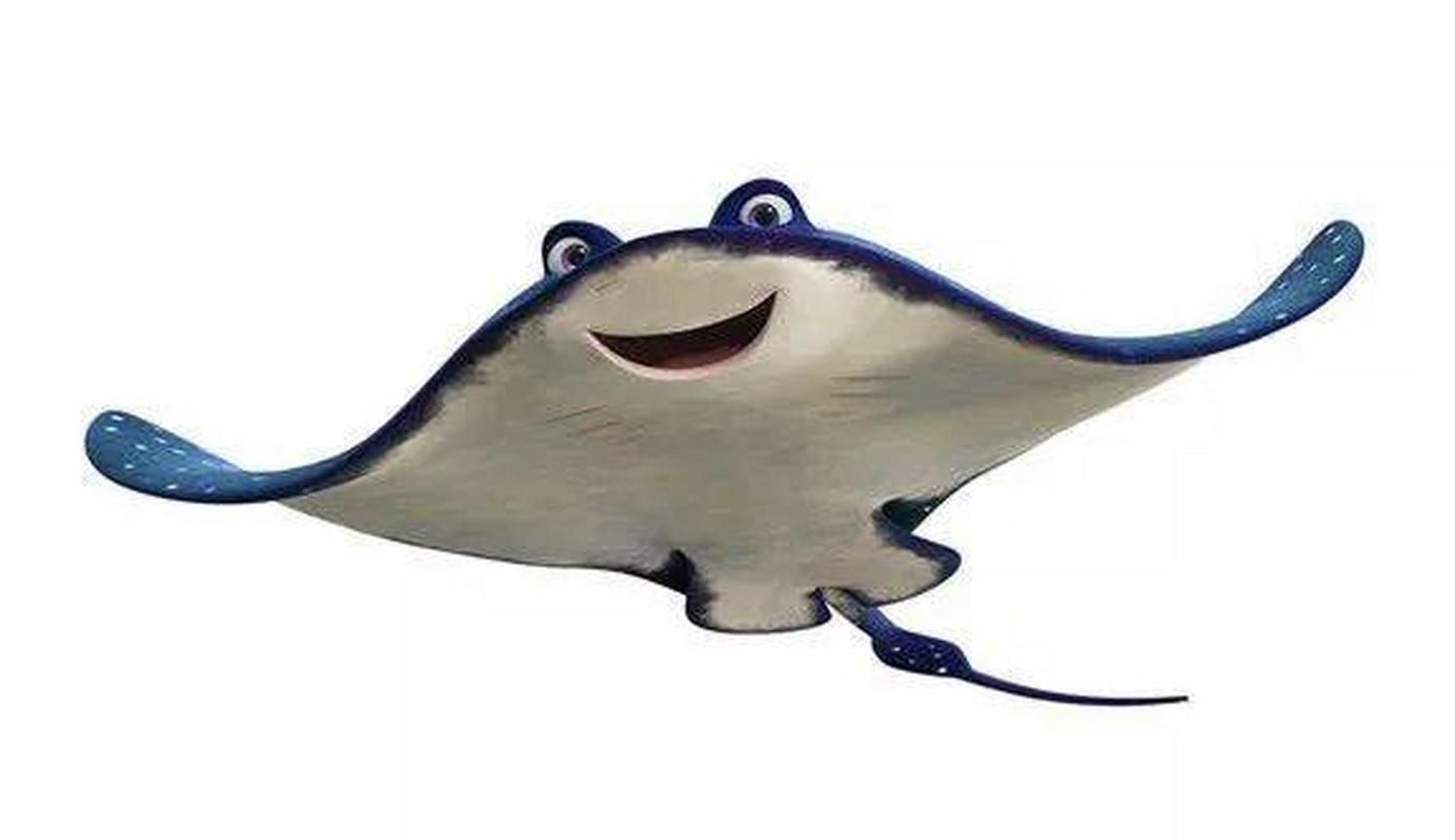 魔鬼魚圖片