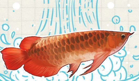 龍魚在多少溫度適合冬眠（龍魚冬眠溫度差異，龍魚冬眠蘇醒后的飼養技巧）