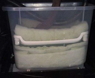 龍魚用什么過濾材料（龍魚缸水質維護技巧珊瑚石在水族箱的作用和作用）