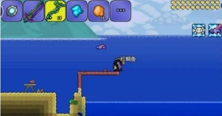 養龍魚賺錢APP：養龍魚賺錢app