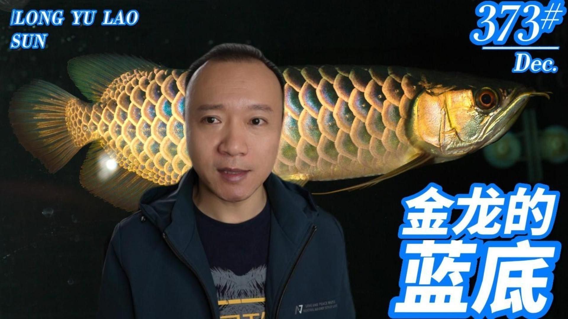 金龍魚稀有品種有哪些獨特特征？