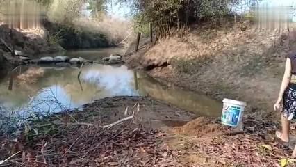給龍魚換水換多了怎么辦啊(給龍魚換水換多了怎么辦啊)