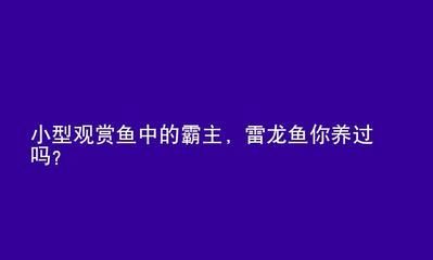 給龍魚換水換多了怎么辦啊(給龍魚換水換多了怎么辦啊)