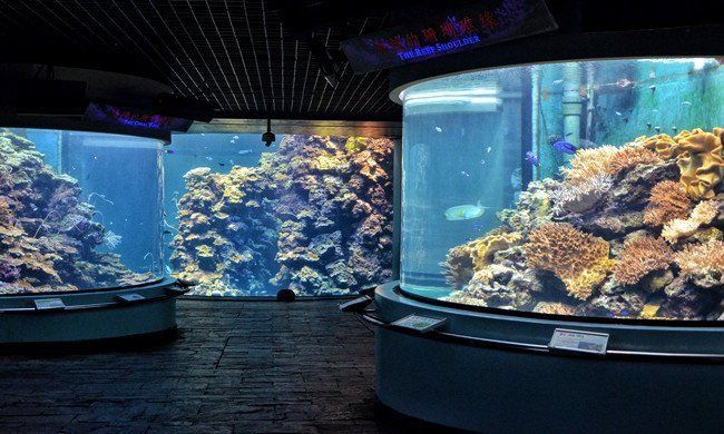 開個水族館風險大不大