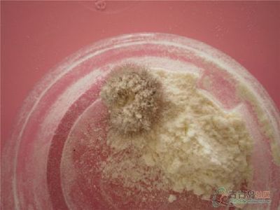 金龍魚圈縮成一團死了的魚【金龍魚圈縮成一團死亡可能是多種因素共同作用的結果】