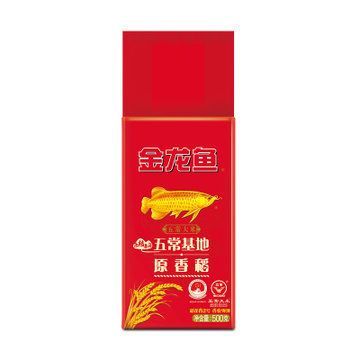 金龍魚30厘米價格多少錢一條（30厘米的金龍魚價格多少錢一條360問答）