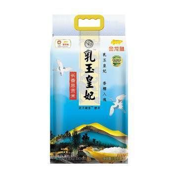 金龍魚30厘米價格多少錢一條（30厘米的金龍魚價格多少錢一條360問答）