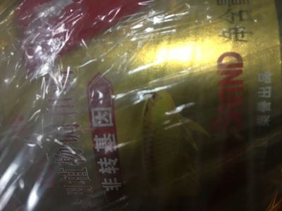 金龍魚30厘米價格多少錢一條（30厘米的金龍魚價格多少錢一條360問答）
