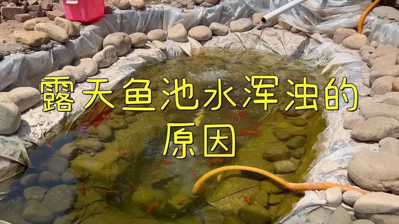 露天魚池水渾濁怎么變清